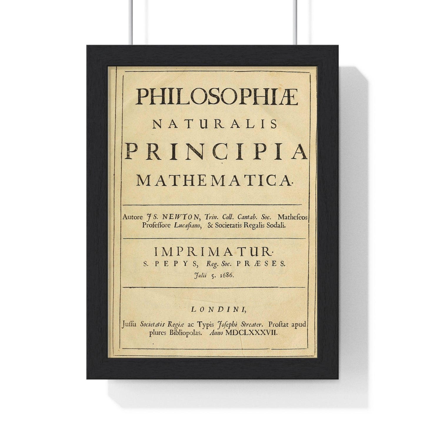 Vertical Framed Poster