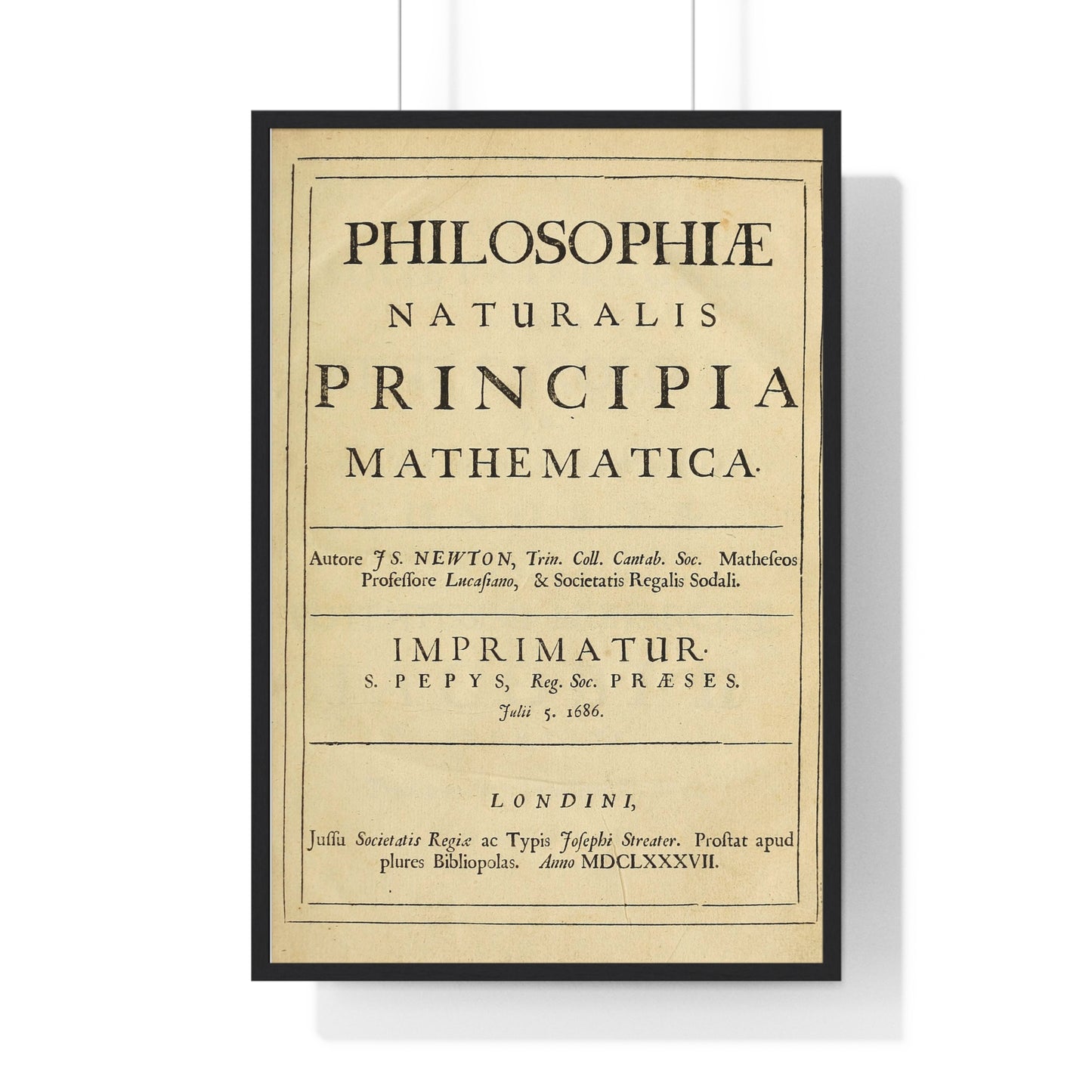 Vertical Framed Poster