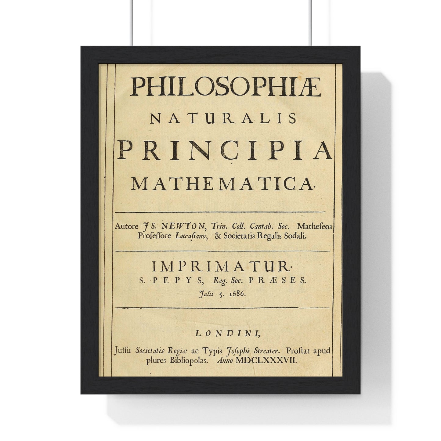 Vertical Framed Poster