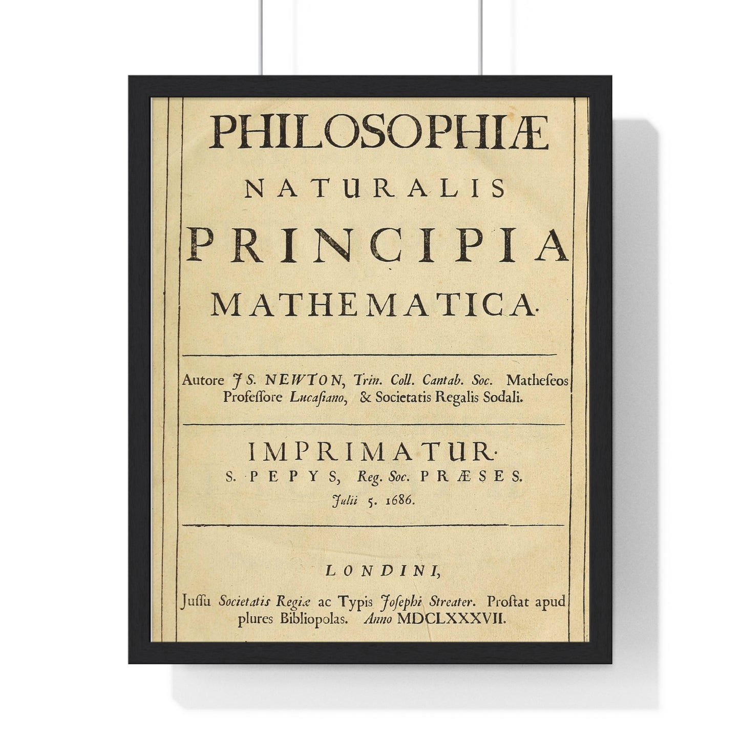 Vertical Framed Poster